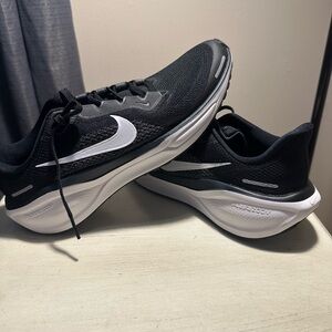 Nike Air Zoom Pegasus 41 Men’s